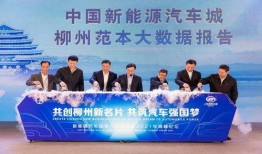 河源生活大爆料新闻报道,揭秘本地新鲜事，带你领略河源魅力