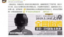 经典29弹卡包爆料视频,全新卡牌与策略解析