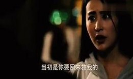 干山暮雪续集在线观看,情缘再续，江湖再起